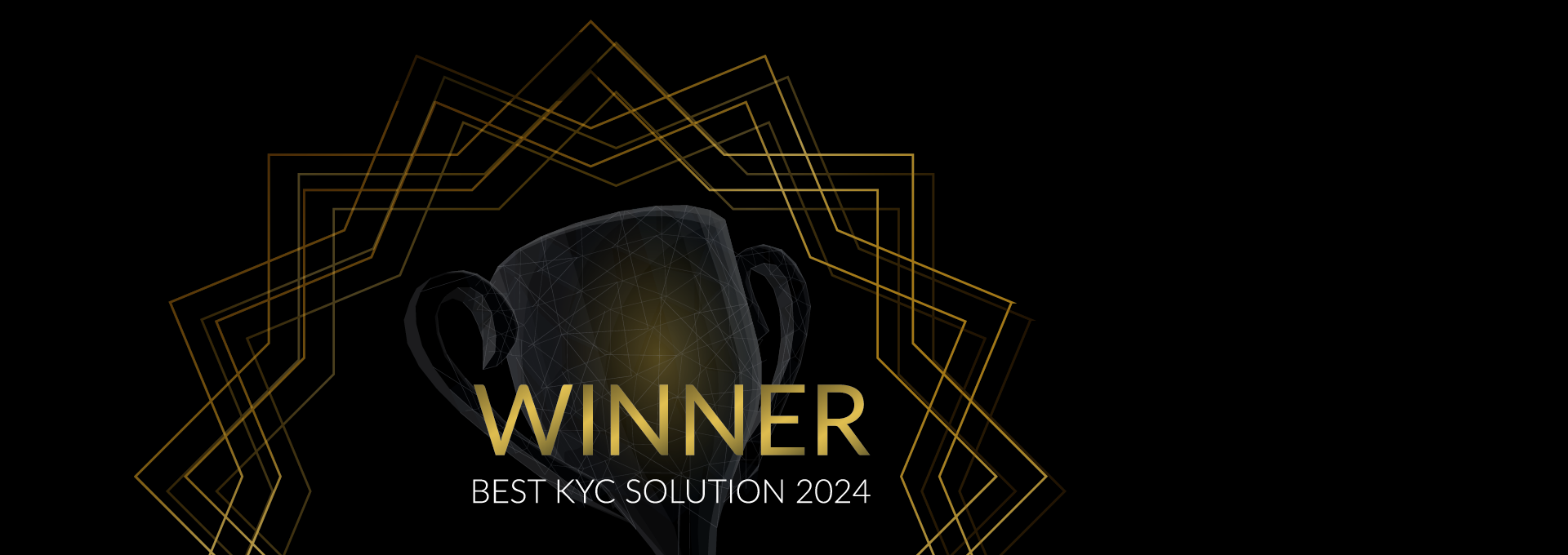 KYC Solution of the Year 2024
